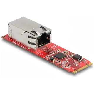 DeLock Konverter M.2 Key B+M Stecker zu 1 x RJ45 2,5 Gigabit LAN Port horizontal M.2 Ke