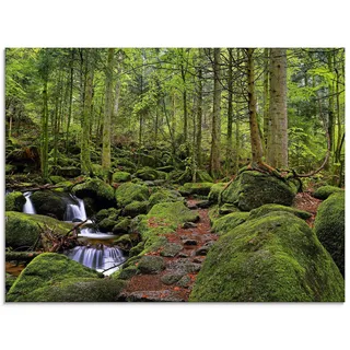 Artland Glasbild »Zauberwald mit Bach« Wald 1 Stk. tlg. in verschiedenen Größen, grün