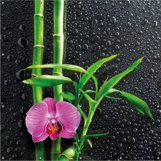 Wallario Outdoor-Poster für Garten oder Balkon, Motiv Bambus und pinke Orchidee auf schwarzem Glas mit Regentropfen, in ca. 180 x 180 cm - Grün