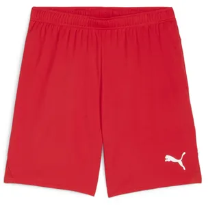 Puma teamGOAL Shorts -