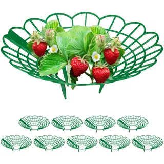 Relaxdays Erdbeerreifer, 10er Set, Schneckenschutz Erdbeeren, Kunststoff, Erdbeergitter gegen Fäulnis & Schimmel, grün