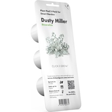 Click and Grow, Samen, Für eine grössere Darstellung klicken Sie auf das Bild. Smart Refill dusty Miller 3St. (Pflanzensamen)