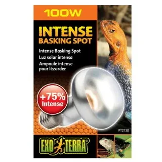 Exo Terra Terrarium-Wärmespotlampe 100 W