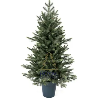 Royal Christmas Künstlicher Weihnachtsbaum Mini im Topf 105 cm | inklusive LED-Beleuchtung über Netzstrom - Grün