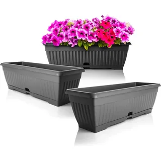 BigDean 3x Blumenkasten Balkon Mit Untersetzer Anthrazit 50 Cm Balkonkasten Pflanzkasten Blumenkasten Mit Wasserspeicher Für Innen Und Außenbereich