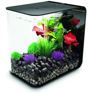 OASE biOrb FLOW 30 LED schwarz Aquarium 30 l