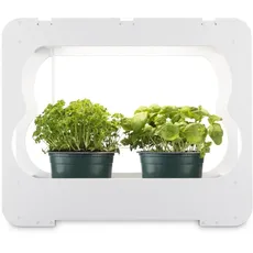 Xavax LED Smart Garden Home Gewächshaus Box klein mit Lampe für Balkon, als Anzuchtkasten für Hochbeet oder Outdoor Garten Pflanzen, Mini Gewächshaus mit Wachstumslampen für Pflanzen 3 Töpfe Ø 10 cm