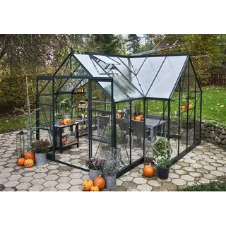 Juliana Garden Room Gewächshaus Metall Grün ESG 3 mm 12,9 m2