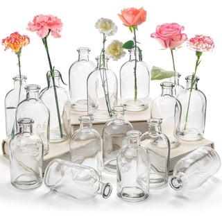 YOUEON 16 Stück lebende Knospenvasen, klare Glasblumenvase, 250 ml dekorative Flaschenvase, Glasvase, kleine Vasen für Heimdekoration Mittelstücke, Büro Tischdekoration, Hochzeitsempfang, Vintage Look