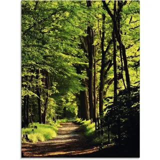 Artland Glasbild »Weg im Wald«, Wald, (1 St.), in verschiedenen Größen Artland grün