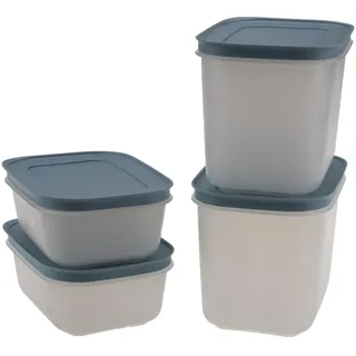 Tupperware Gefrier-Behälter 450 ml (2) + 1,1L (2) Eis-Kristall Eiskristall rauchblau