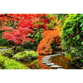 Papermoon "JAPANISCHER GARTEN-BLUMEN BÄUME SEE NATUR HERBST WALD", bunt,