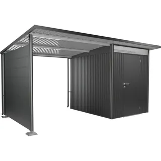 Biohort Seitendach für Gerätehaus AvantGarde A2, A6 Gr. L Dunkelgrau-Metallic