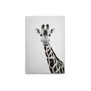 A.S. Création Leinwandbild Tiere Giraffe - Wandbild in Schwarz, Weiss - 40 x 60 cm - DD132224