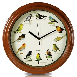 Out of the blue 79/3151 - Wanduhr mit Vogelstimmen, Durchmesser ca. 33 cm, aus Kunststoff, batteriebetrieben, im Geschenkkarton, Bunt