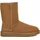 Classic Short II Chestnut 39
