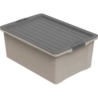 Rotho Stapelbox Compact A3 38 l Cappucchino
