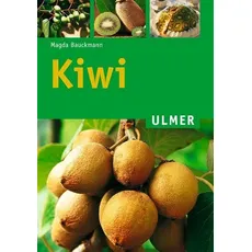 Kiwi, Ratgeber