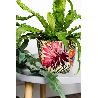 Ivyline Blumentopf, Keramik, Cremefarben/Pink/Grün, 12 cm