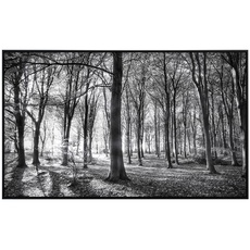 Bild von Infrarotheizung Wald Schwarz + Weiss«, Matt-Effekt - bunt