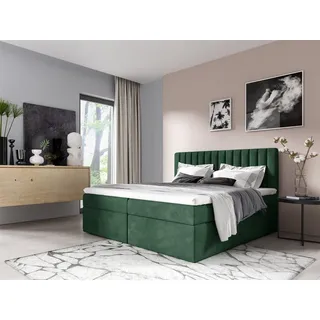 Fun Möbel Boxspringbett Schlafzimmerbett LINNEA 140x200cm Stoff Grün inkl. Bettkasten - Grün