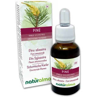 Pine oder Schottische Kiefer (Pinus sylvestris) Blütenmittel Naturalma - Tropfen 30 ml - Alkoholfreier Flüssigextrakt - Blütenessenzen - Vegan und alkoholfrei
