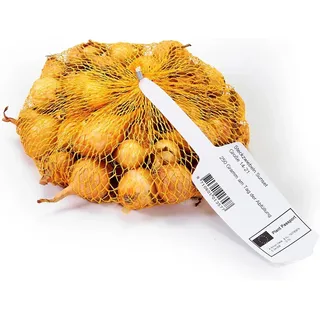 Steckzwiebel 250 g Allium cepa Birnförmige