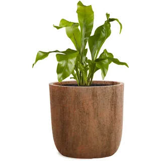 Pflanzwerk® Pflanzkübel Cup - Blumentöpfe Übertöpfe Ø51cm ROST *Frostbeständige Blumenkübel* *UV-Schutz* *Pflanzenkübel Premiumqualität*