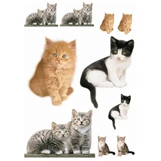 Komar Deco-Sticker KITTY | 50 x 70 cm | Wandtattoo, Wandbild, Wandsticker, Wandaufkleber, Walltattoo, Katzen, Hauskatzen, Tiere, Baby | 17010h