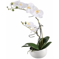 Bild Kunstpflanze »Orchidee«, weiß