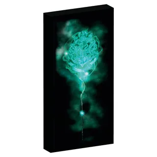 Joy Toy Harry Potter Canvas (Leinwandbild) mit 6 LED Lichtern zum Hängen und zum Stellen - 20x3x40 cm