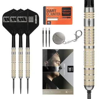 Target Dimitri van den Bergh 95K Steeldarts - 22g