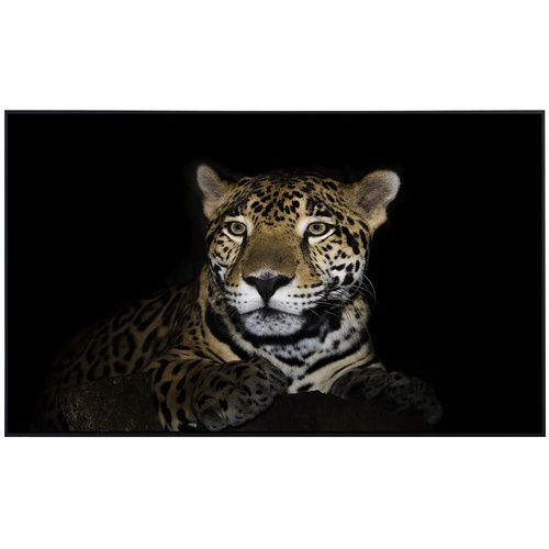 Bild von Infrarotheizung Leopard«, Matt-Effekt - bunt