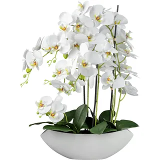 Creativ green Phalaenopsis in Keramikschale, 63 cm, weiß