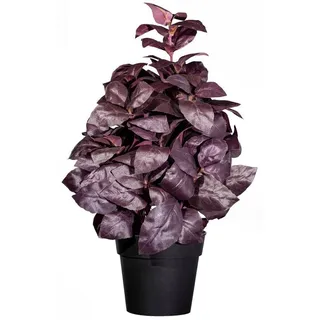 Creativ green Kunstpflanze »Basilikumbusch«, rot