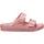 Arizona 1031340 - Rosa