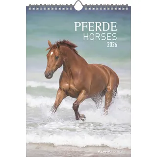 ALPHA EDITION GmbH & Co. KG Alpha Edition - Pferde Kalender 2026 – Wandkalender & Bildkalender 24×34 cm mit 12 hochwertigen Pferdebildern, 4-sprachigem Kalendarium, Geschenkidee & Deko für Pferdeliebhaber, Reiter & Stall: Horses