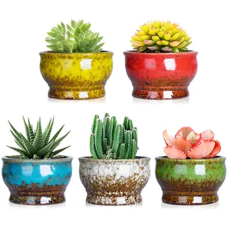 ARTKETTY 11 cm Moderne Keramik Sukkulente Pflanzgefäße Kaktus Töpfe Mit Drainageloch Mini Glasiert Blumenpflanze Containers winzige Töpfe Für Miniaturpflanzen 5er-Set