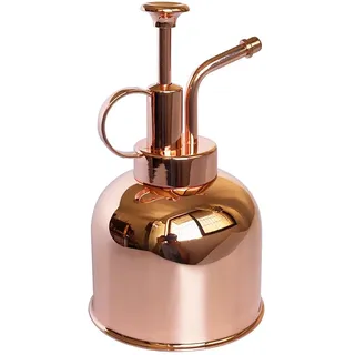 Lianshi Plant Mister Sprühflasche Edelstahl Pflanzensprüher, Kleine Gießkanne Pflanzensprühflasche Moderne Gartenwerkzeuge für Zimmer-Topfpflanzen Bewässerung und Sprühen