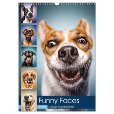 Bild Funny Faces - Lustige Hundebilder Wandkalender 2024) - A3