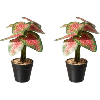Creativ green Künstliche Zimmerpflanze »Caladium Pflanze«, grün