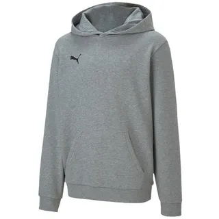 Puma teamGOAL 23 Casuals Hoody Jr medium gray heather 128