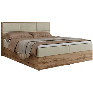 MKS Meble MKS Boxbett, Beige Velvet - Beige