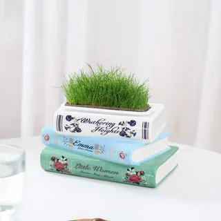 Romehaha Buchvase für Blumen 18 cm, Keramik, literarischer Übertopf, Moderne künstlerische Bücherregal-Dekoration mit kulturellem Stil, einzigartiges Geschenk für Buchliebhaber