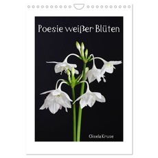 Poesie weißer Blüten (Wandkalender 2024 DIN A4 hoch), CALVENDO Monatskalender