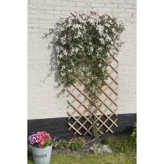Versele-Laga Rankgitter 50 x 150 cm Braun