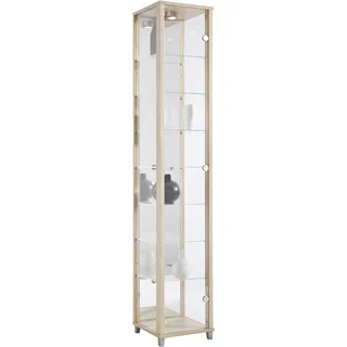 fif Möbel Standvitrine OPTIMA 1x Glastür 0 x 0 x 0 cm Braun
