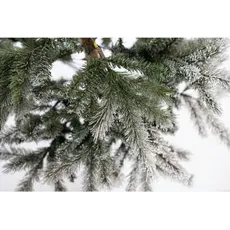 Bild von Weihnachtsbaum Cedar Kiefer Frost 210 cm