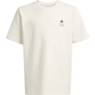 adidas Adidas Marvel Spider-man Graphics Tee off white-dark blue (08S1) 116