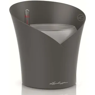 LECHUZA Orchidea Ø 18 x 20 cm schiefergrau matt